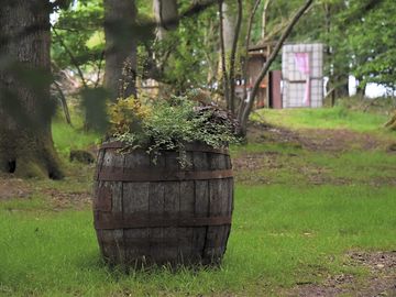 In the wood