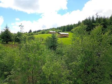 View from back in the forest of the two tents