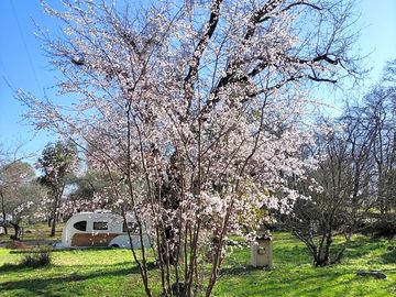 Springtime on site