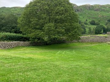 Tent pitches near the big oak tree