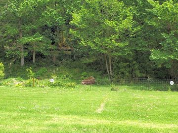 Tree-shaded unpowered site