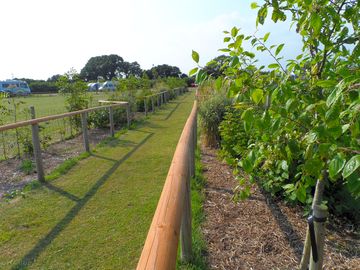 View from the walkway