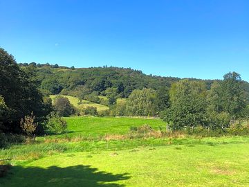 Tent pitches with woodland views