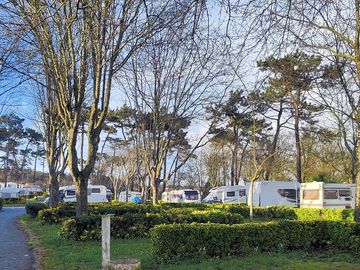 Pitches surrounded by trees and plants