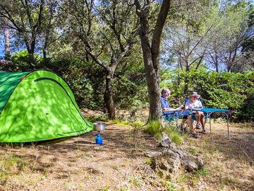 Secluded tent pitch