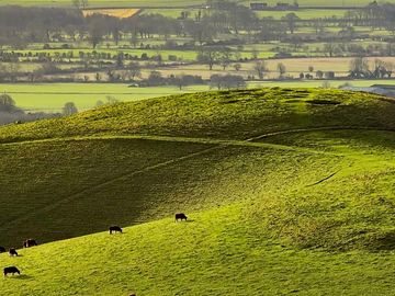 Views of the downs