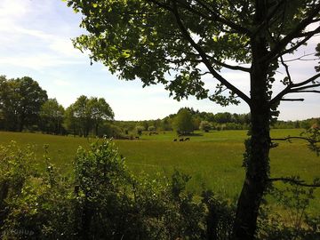A view from pitches