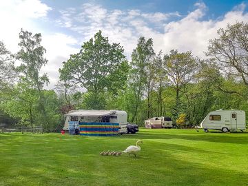 Visitor image of pitches on site