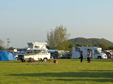 Grass pitches