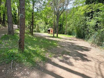 The site