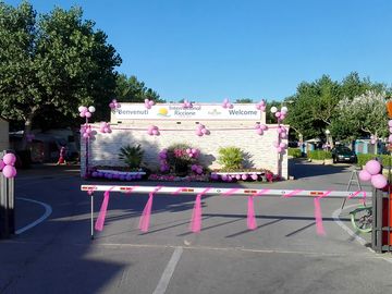 Pink-themed party