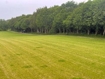 Bottom end of the site
