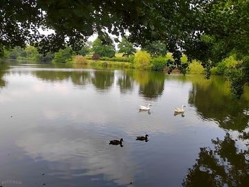 View of the lake