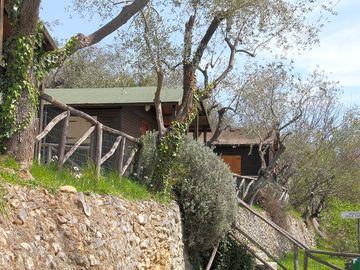 Chalets among the olive trees