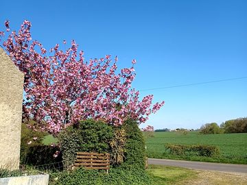 View over farmland looking towards lincoln