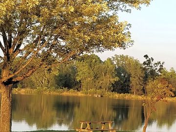 Lake view tent site