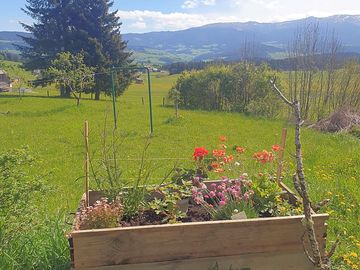 Blick zum Standplatz bei den Fichten