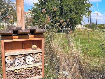Greenery around the site