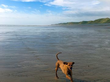 Dog friendly beach at silecroft 5 min drive