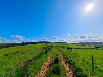 Nearby walks