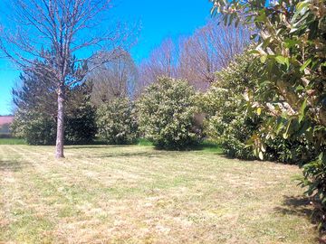 Spacious grass pitches available with or without electricity