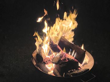 Firewood sold on site