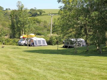 Pond meadow