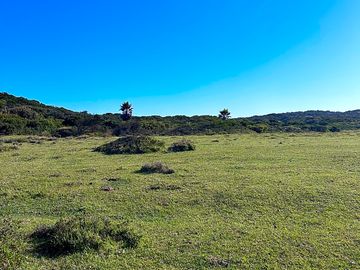 The camp field right by the ocean