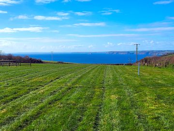 Grass pitch