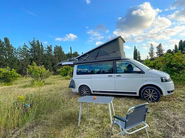 Camping between orange plants