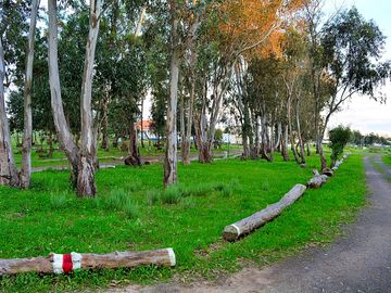 Camping area 2