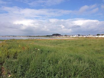 View across the wetlands