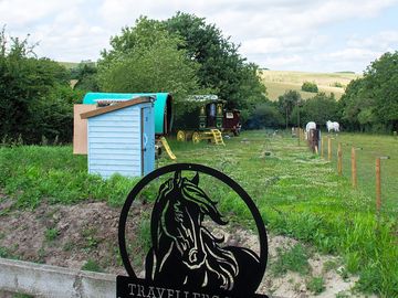 The site