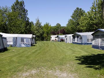 Grassy pitches