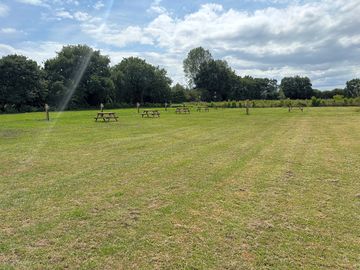 Just a picture of the campsite with picnic benches for all the visitors?