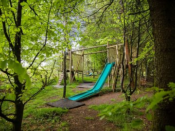 The park in the woods