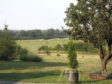 View over fields