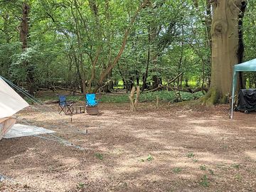 Woodland pitch with kitchen facilities