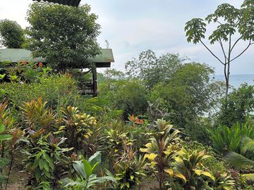 Bungalow view