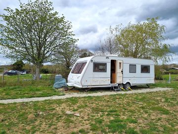 Caravan next to a chestnut tree