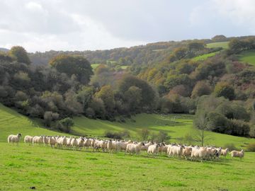 View from site