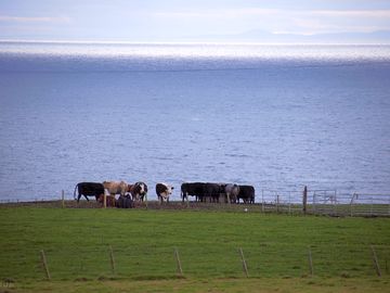 View to the sea