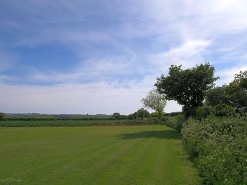 View across the pitches