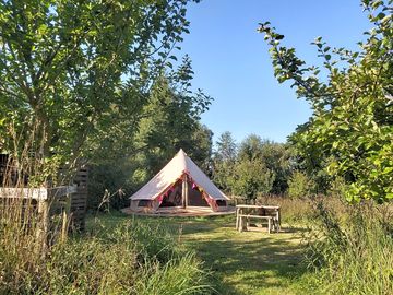 Orchard bell tent in a fully enclosed space so your dogs can run free!