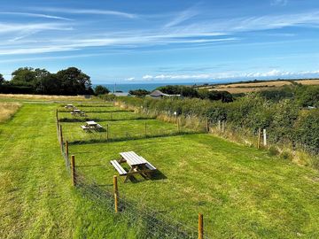 Large pet-friendly individually fenced pitches