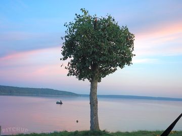 Evening calm