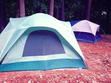 Camping pitches