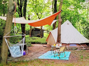 A tent pitch under the trees