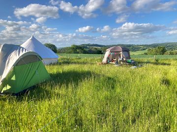 Camping pitches
