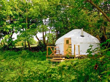 Wild Garlic yurt surrounded by nature